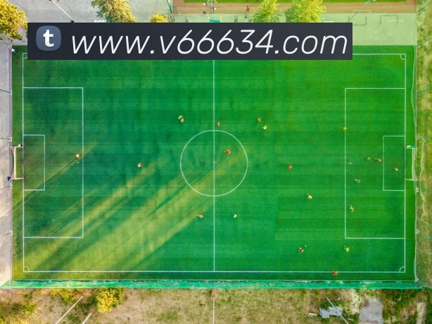 V66体育APP 封面图